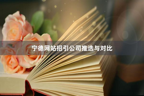 宁德网站招引公司推选与对比